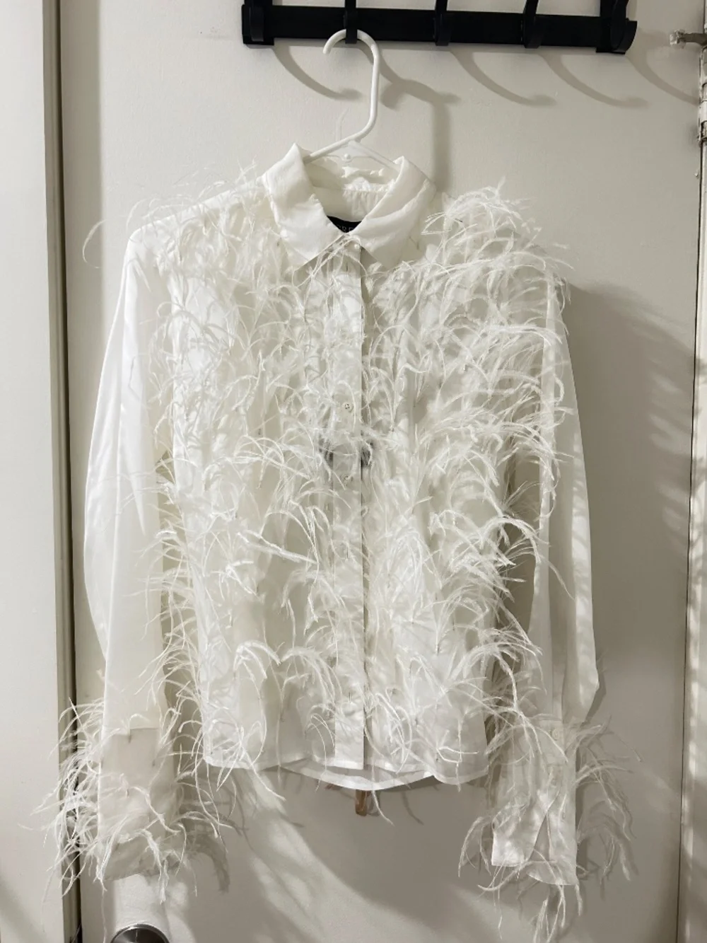 Jcrew collection organza button up shirt with feathers